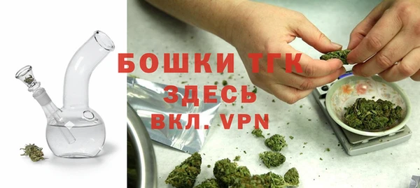 индика Алексин