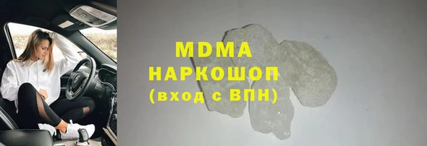 индика Алексин
