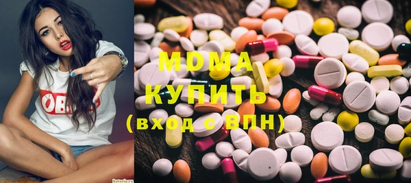 индика Алексин