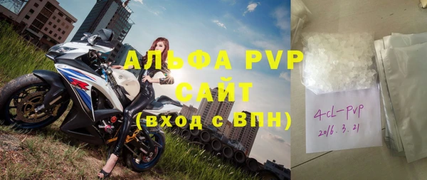 индика Алексин