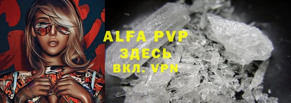 индика Алексин