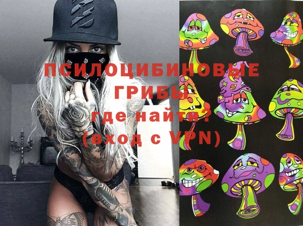 хмурый Алексеевка